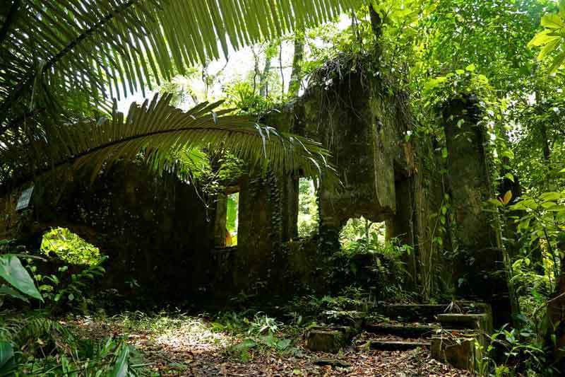 Ancienne villa enfoui dans la verdure