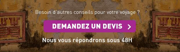 devis vietnam