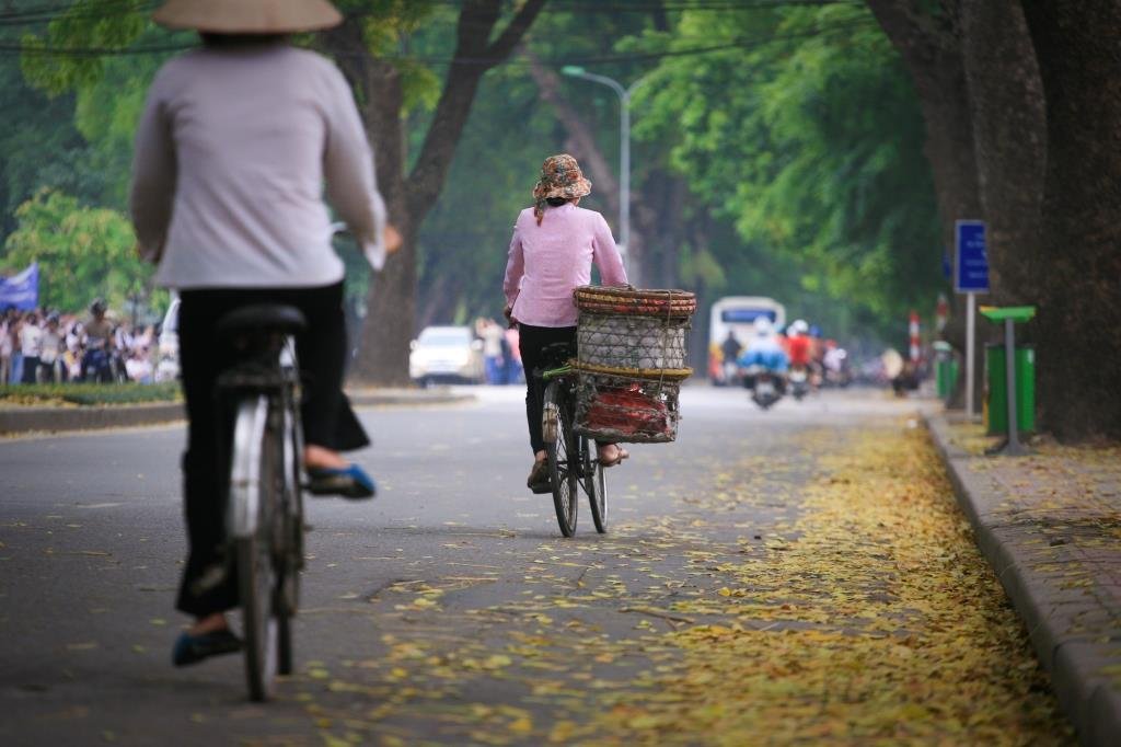 vélos boulevard