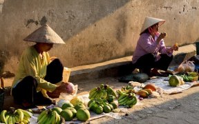 vendeuse de fruit dans la rue hanoi