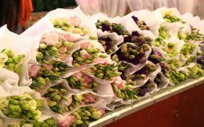 fleurs bien couvert au marche quang an a hanoi