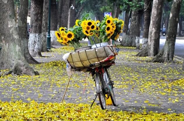 vendeur fleurs lac hoan kiem
