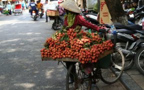 vendeuse ambulante de litchi hanoi