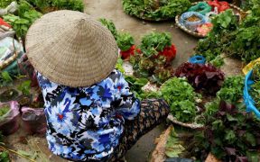 Vendeuse d'herbes aromatiques