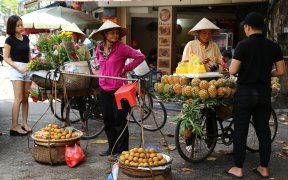 fleurs et fruits à un coin de rue hanoi blog